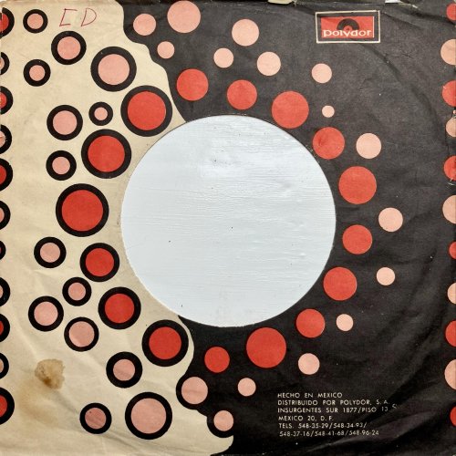 PAPER PLANE Company Sleeve Rear