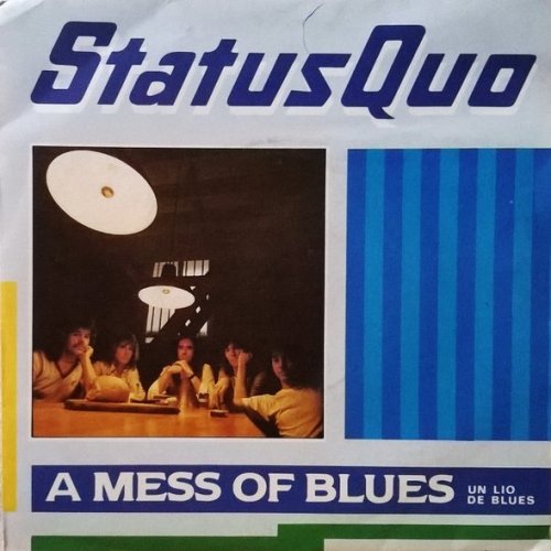A MESS OF BLUES Picture Sleeve Front