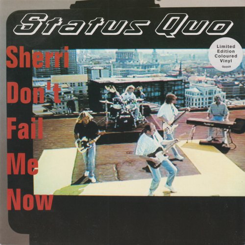 SHERRI DON'T FAIL ME NOW Standard Picture Sleeve Front