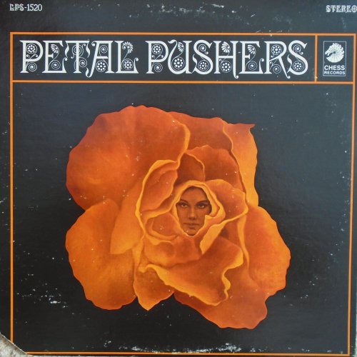 PETAL PUSHERS Standard Sleeve - Stereo Front
